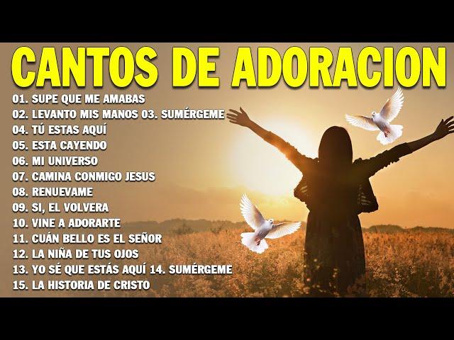 PODEROSAS CANCIONES CRISTIANAS PARA LIBERAR TU MENTE Y EL CORAZÓN ️️  SUPE QUE ME AMABAS 