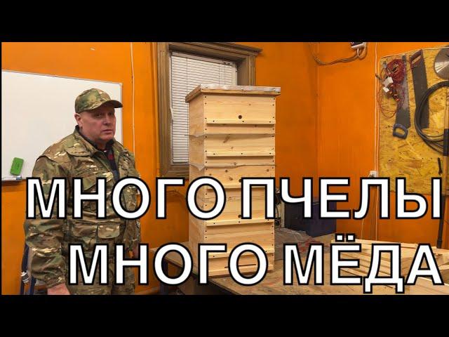 МЁД И ПАКЕТЫ ИЗ ОДНОЙ СЕМЬИ   УНИКАЛЬНЫЙ МЕТОД