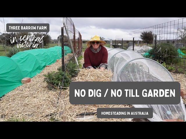 No Dig Gardening - How I Maintain my Garden: Homesteading in Australia, Zone 9B