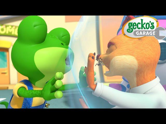 Watch Out, Weasel! | Gecko's Garage | Trucks For Children | Cartoons For Kids