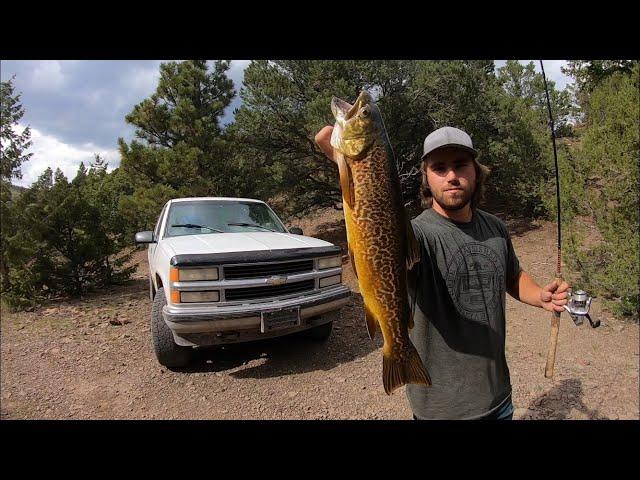 Exploring HIDDEN Mountain Lakes For BIG Trout! - Catch, Cook, Camp