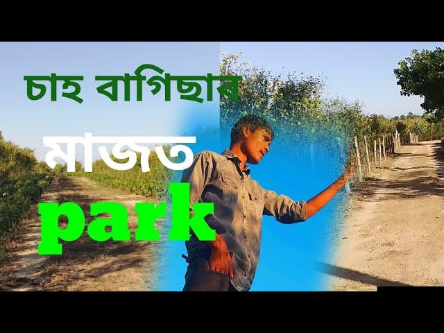 কি ধুনীয়া park|| adivasi sadri vlog @dhongraadivasivlogs4964 #youtubevideo #youtube