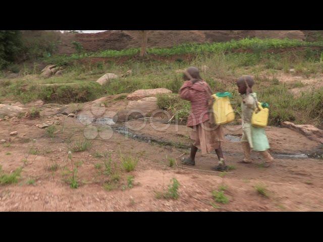 Kenya: Children Walk Home with Water. Stock Footage