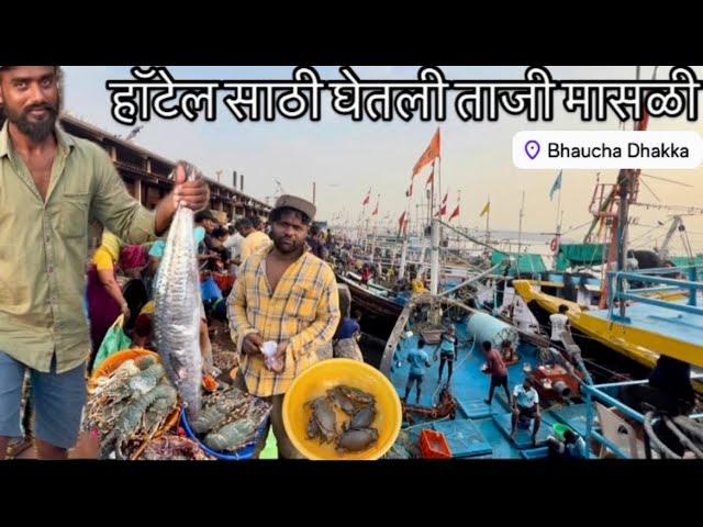 भाऊचा धक्का वरुण आणली ताजी ताजी मासळी । Bhaucha Dhakka Wholesale Fish Market । Mumbai