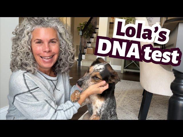 Collecting My Rescue Dog’s DNA – Here’s How It’s Done