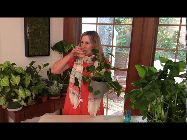 Wine Wednesday... with plants!