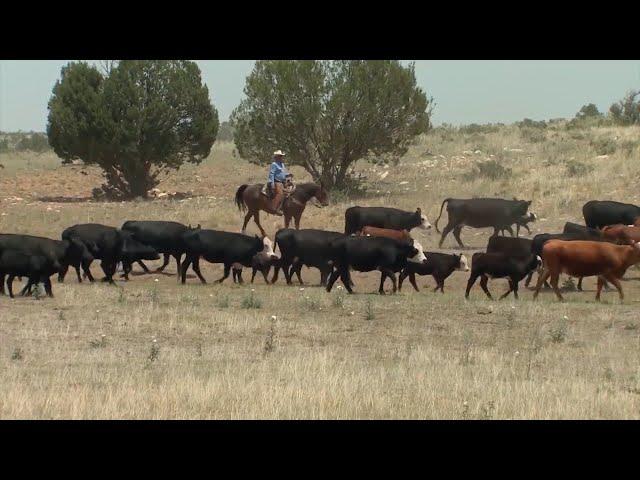 Public Lands Council Annual Meeting Underway in Colorado