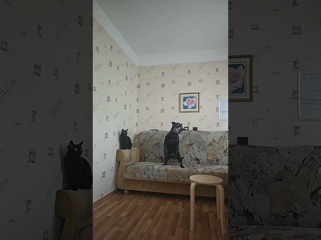 сыр #видео #облака #успех #клуб #друг
