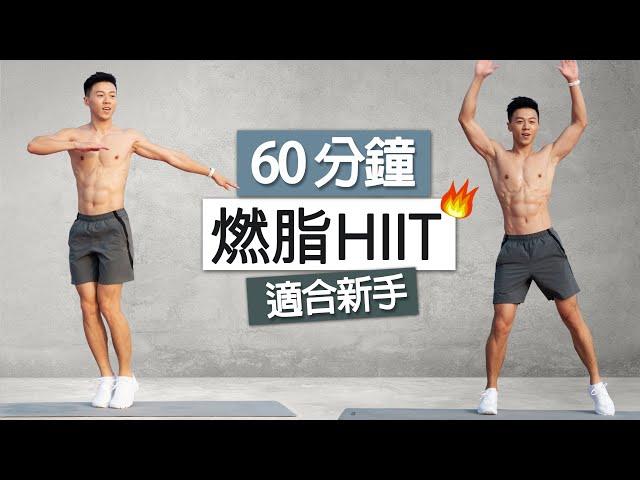 燃脂挑戰！在家60分鐘爆汗HIIT | 甩掉脂肪、無器材、適合新手 塑造完美身材 60 MIN Beginner HIIT Workout - Full Body home Cardio!