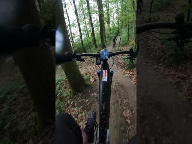 Muddy Trails Session #mtb #mtbtrails #funday #enduro #shorts