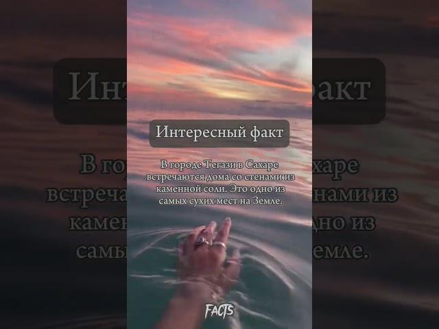 Интересный факт #интересныефакты #жизнь #природа #тинькоффинвестиции #здоровье #деньги
