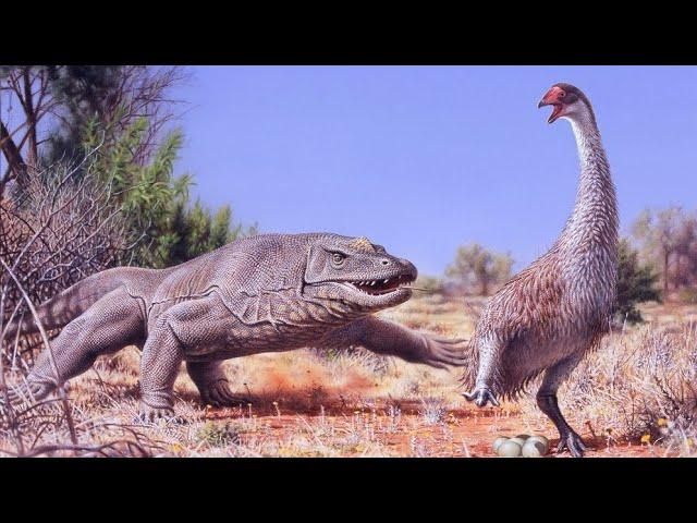 Prehistoric Australia Was A Living Nightmare