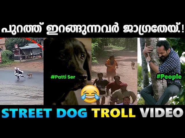പട്ടിയെ പേടിച്ച് പുറത്തിറങ്ങാൻ പറ്റാത്ത സ്ഥിതിയായല്ലോ.!! Troll Video | Albin Joshy