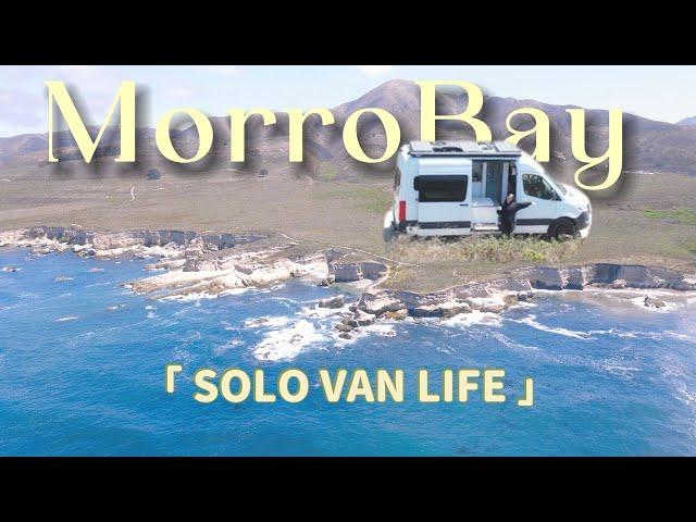 Seal Spotting & Sea Breeze: My Morro Bay Van Life Getaway