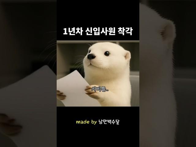 1년차  신입사원이 하는 착각..!