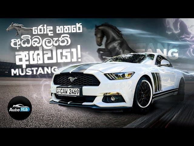 Ford Mustang 2.3L Eco Boost Review (Sinhala) I Auto Hub