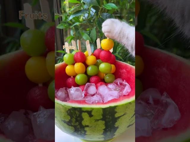 Meow~Super Huge Watermelon Sago Dessert!|ASMR Summer Drinks | Cat Cooking-TikTok #Shorts