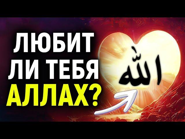 3 ПРИЗНАКА ТОГО, ЧТО АЛЛАХ ЛЮБИТ ТЕБЯ! | Dawah медиа
