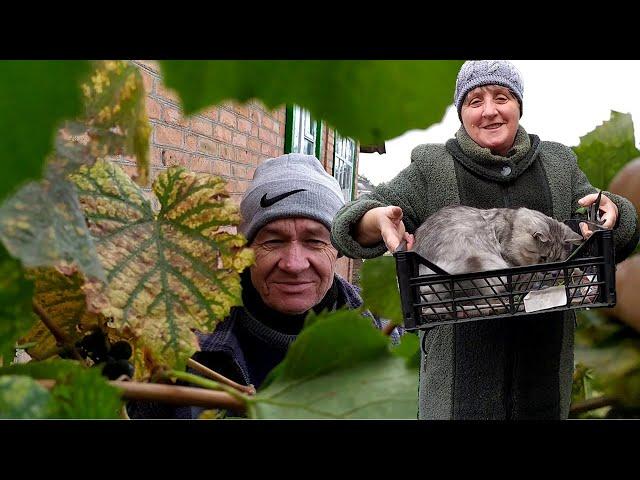 Оля , не втручайся у технологічний процес.