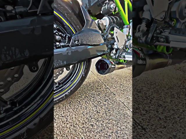 Z900 austin racing exhaust sound gp1r de-cat #exhaust #fyp #z900 #sound #satisfying #austinracing