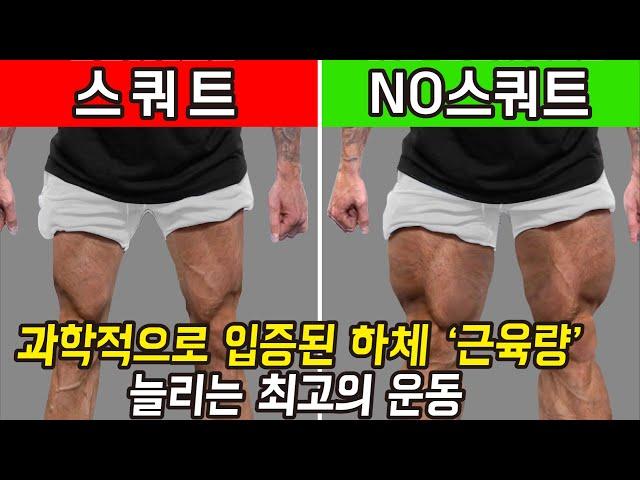 스쿼트 없이 하체를 키우는 최고의 하체 운동 [무릎, 허리 부상 방지]