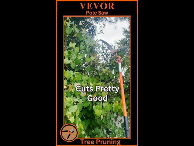 Vevor Manual Pole Saw Pruning High Branches & Vines | Pros & Cons Review #shorts #vevor #toolreview