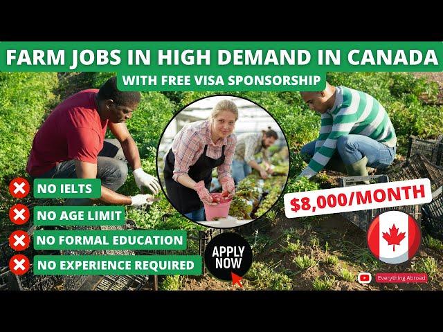 Farm Jobs In Canada With Free Visa Sponsorship In 2024 | No Education, No Experience Required