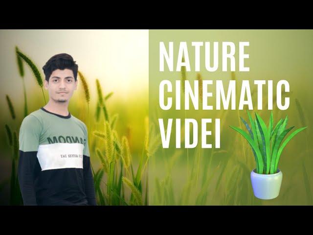 गेंहू और ईसबीगोल की खेती Cinematography Video For Mobile Shoot without gimbal by sajid Khan sipahi