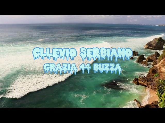 Cllevio Serbiano - Grazia 44 Buzza (full song)