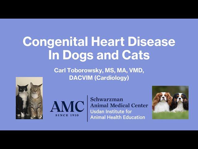 Heart Disease in Dogs and Cats (Congenital)