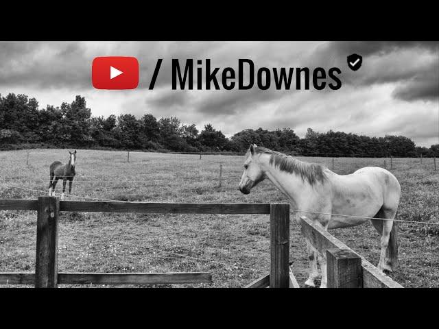 Welcome to My Channel by Mike Downes