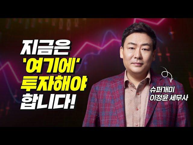 수백억 대 자산가 슈퍼개미의 주식투자 방법 (재테크, 슈퍼개미 이정윤)