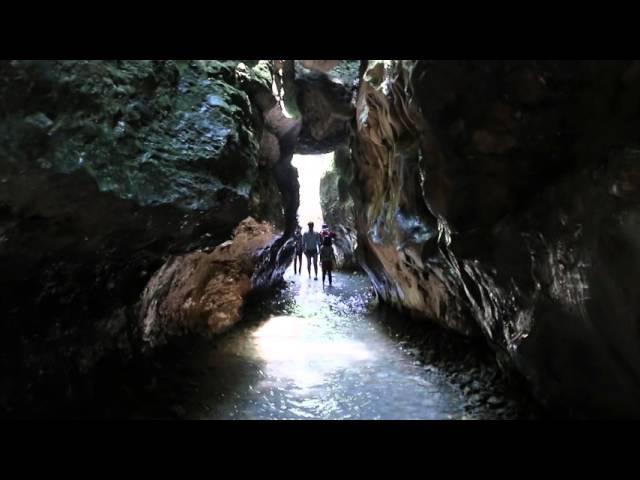 Guchhupani - Robber's Cave (Dehradun, India)