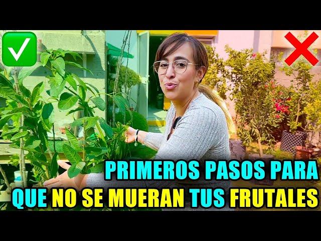  Las 5 PRIMERAS COSAS que Necesitas Hacer Cuando COMPRAS FRUTALES 