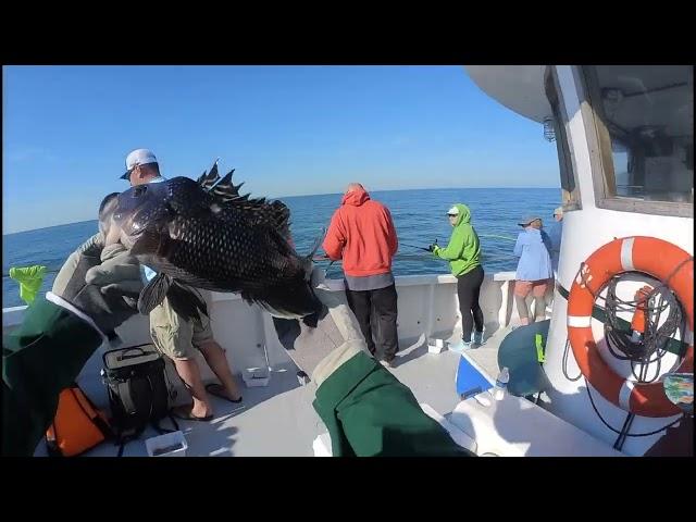  Captain Bob Headboat Delaware Saltwater Fishing, 29 June 2022