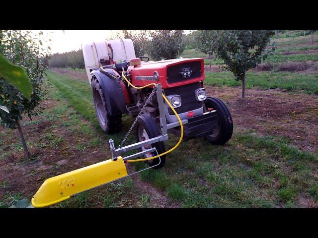 Pryskanie na chwasty w ogrodzie belką herbicydową. Massey Ferguson 135.