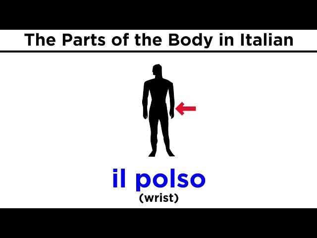 Italian Vocabulary: Parts of the Body