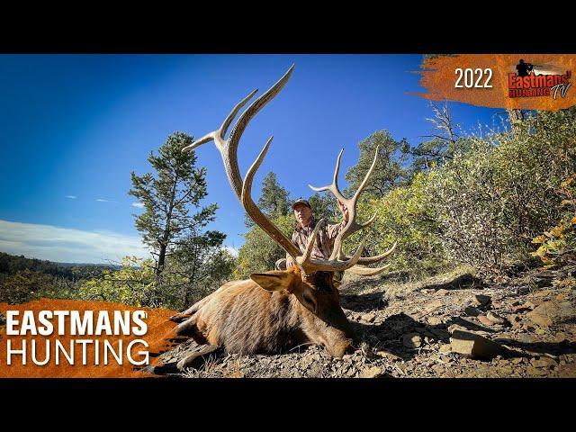 One shot DROP! Colorado Elk Hunt with Guy Eastman | Eastmans' Hunting TV