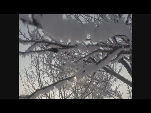 Frost transforms Chinese province into winter wonderland