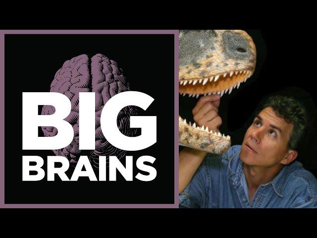 Preserving An Ancient Heritage With Paul Sereno on the Big Brains Podcast