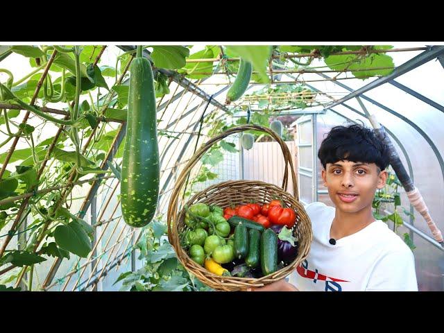 July Garden Harvest and Tour | Kitchen Gardening