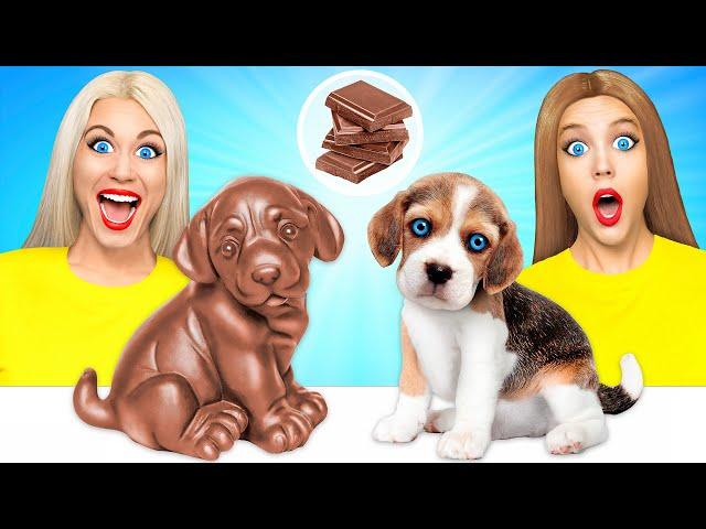 Real Food vs Chocolate Food Challenge #3 by Multi DO Fun