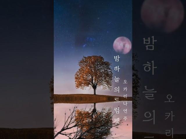 #오카리나연주 #밤하늘의트럼펫 #Il Silenzo #shorts