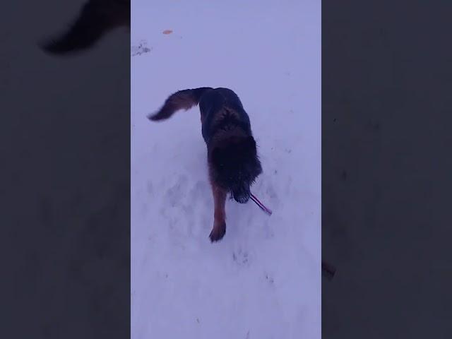 Учимся думать)