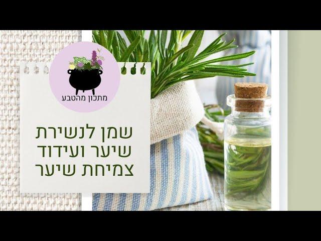 איך מכינים שמן שהוכח מחקרית לנשירת שיער וצמיחה מחדש מרכיבים טבעיים שיש לכולם בבית