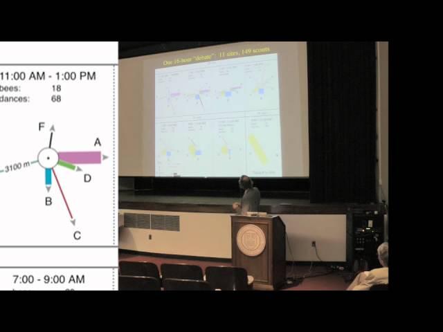 Tom Seeley: Honeybee Democracy