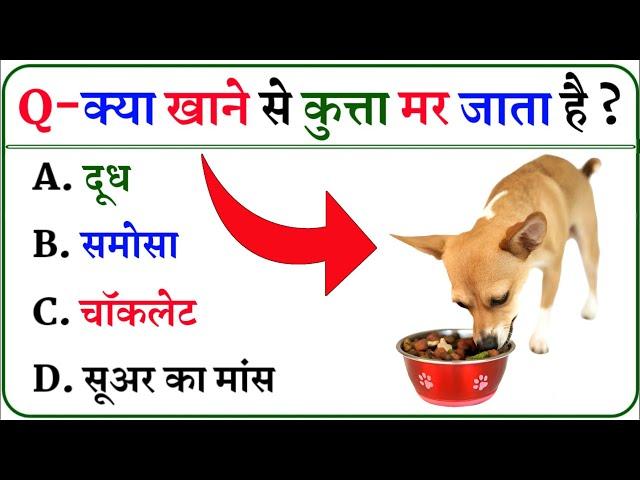 Gk Questions || Interesting Gk || General knowledge || Gk In Hindi || Gk ke sawal || Gk Video