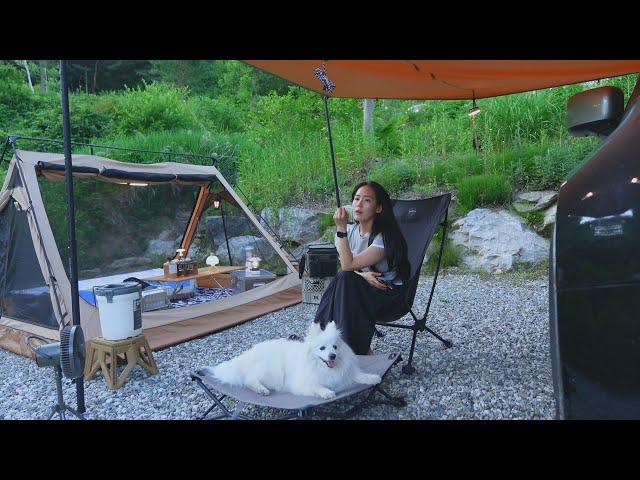 Camping Vlog. High mountain campsite Summer camping with dogs in a small tent