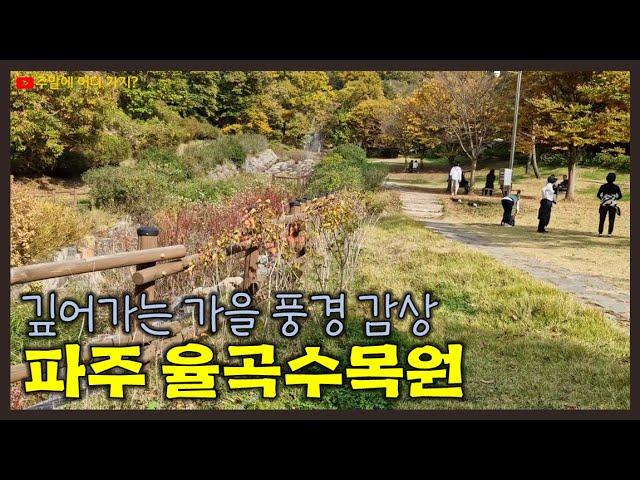 파주 율곡수목원 | 파주 추천 관광명소 | 파주시 파평면 율곡리 | 가을 구절초와 억새