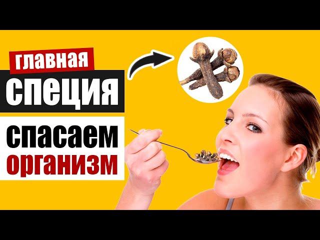 Гвоздика – уникальная специя на страже здоровья: рецепты, как она действует на организм